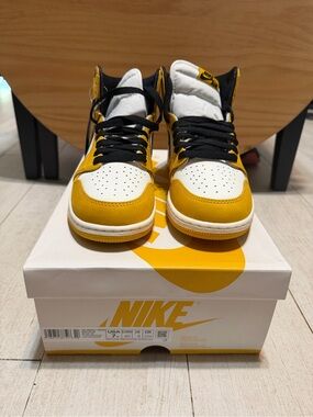 Nike Air Jordan 1 Retro High OG